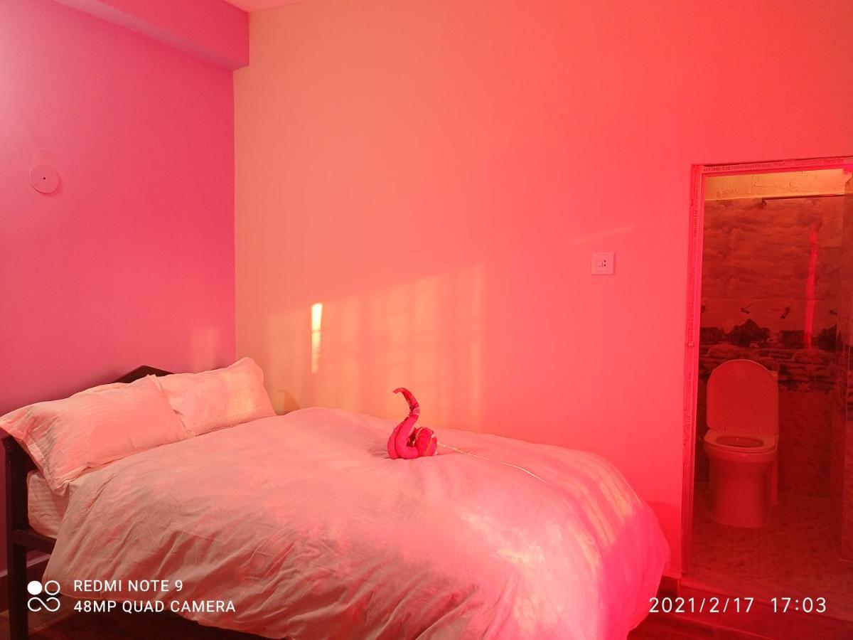 Hotel National Park Sauraha- Homely Stay And Peaceful Location With Jungle Safari Arrangements Eksteriør billede