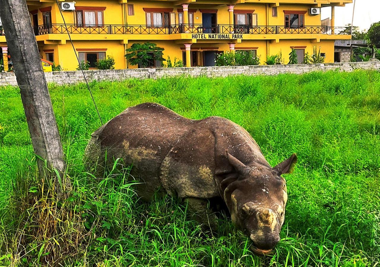 Hotel National Park Sauraha- Homely Stay And Peaceful Location With Jungle Safari Arrangements Eksteriør billede