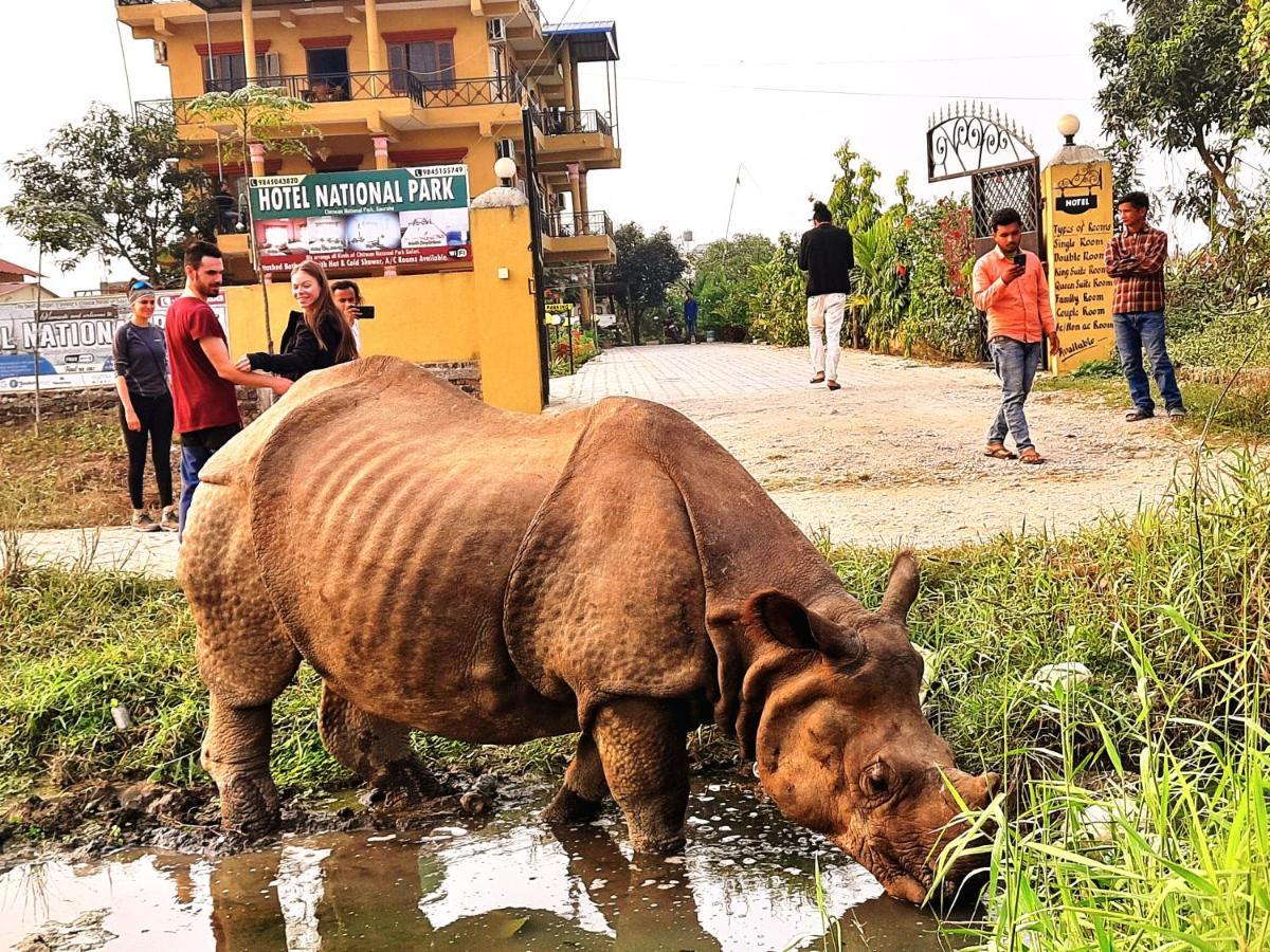 Hotel National Park Sauraha- Homely Stay And Peaceful Location With Jungle Safari Arrangements Eksteriør billede