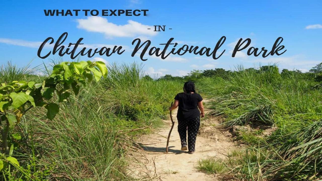 Hotel National Park Sauraha- Homely Stay And Peaceful Location With Jungle Safari Arrangements Eksteriør billede