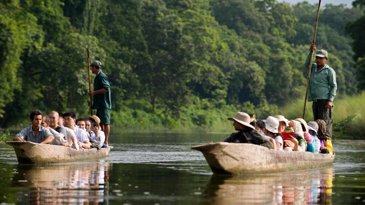 Hotel National Park Sauraha- Homely Stay And Peaceful Location With Jungle Safari Arrangements Eksteriør billede