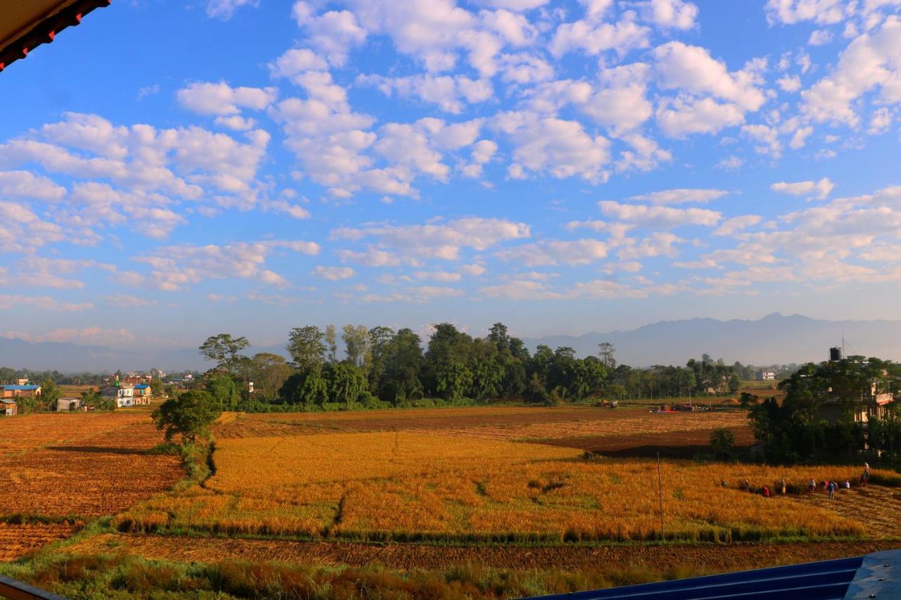 Hotel National Park Sauraha- Homely Stay And Peaceful Location With Jungle Safari Arrangements Eksteriør billede
