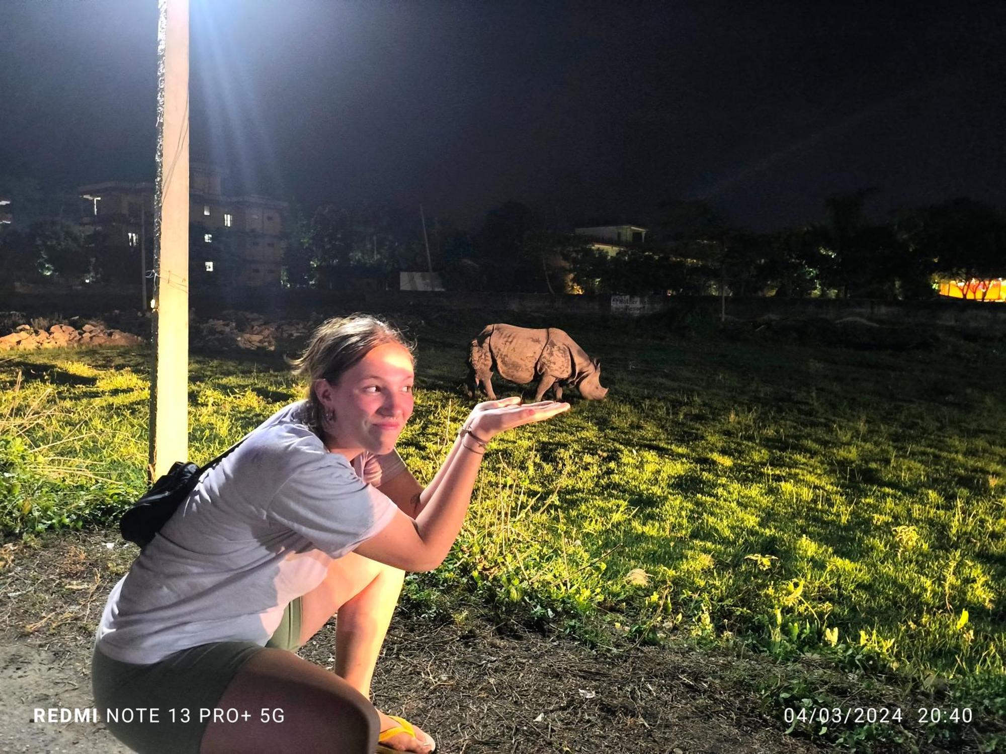 Hotel National Park Sauraha- Homely Stay And Peaceful Location With Jungle Safari Arrangements Eksteriør billede