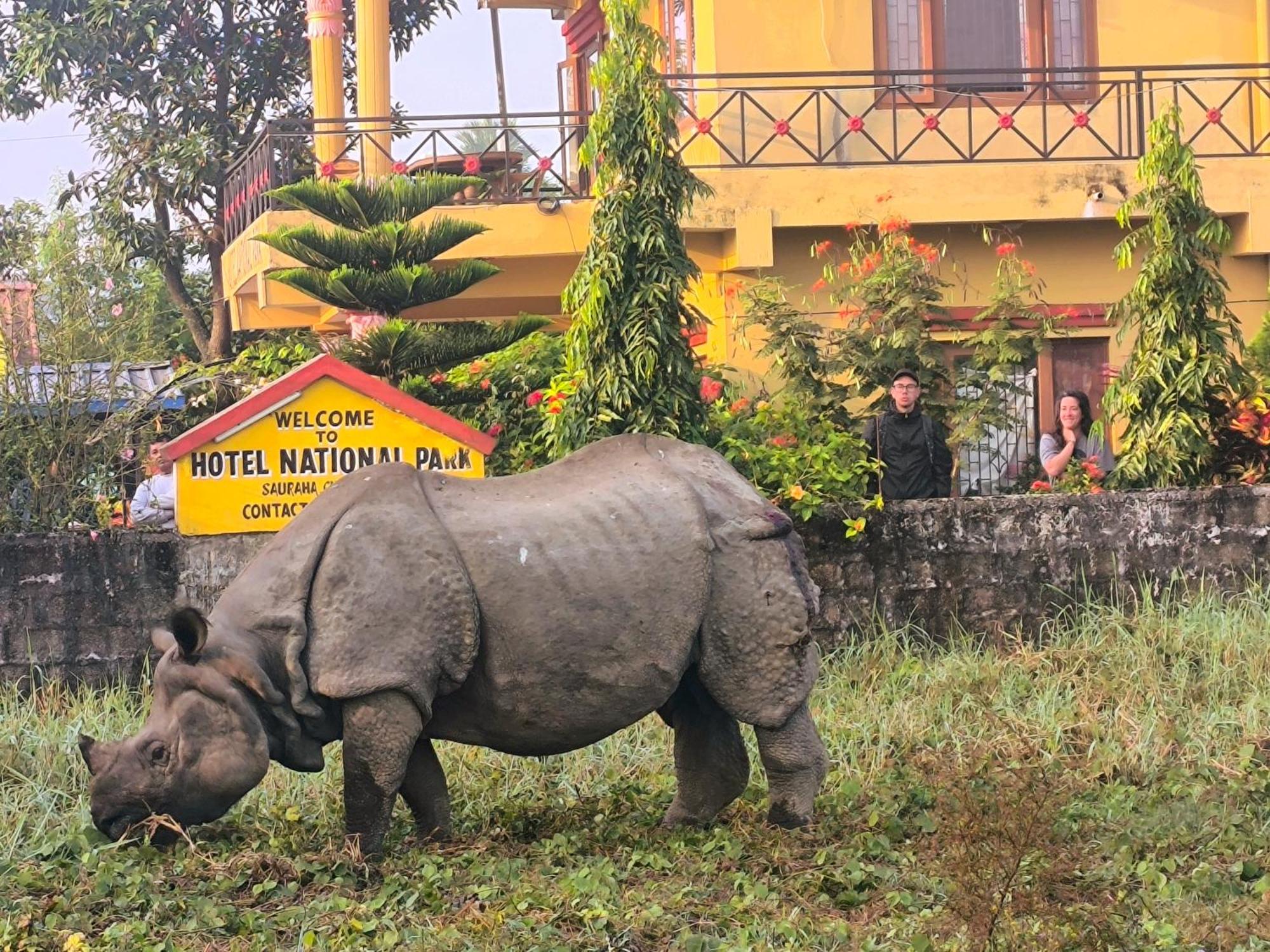 Hotel National Park Sauraha- Homely Stay And Peaceful Location With Jungle Safari Arrangements Eksteriør billede